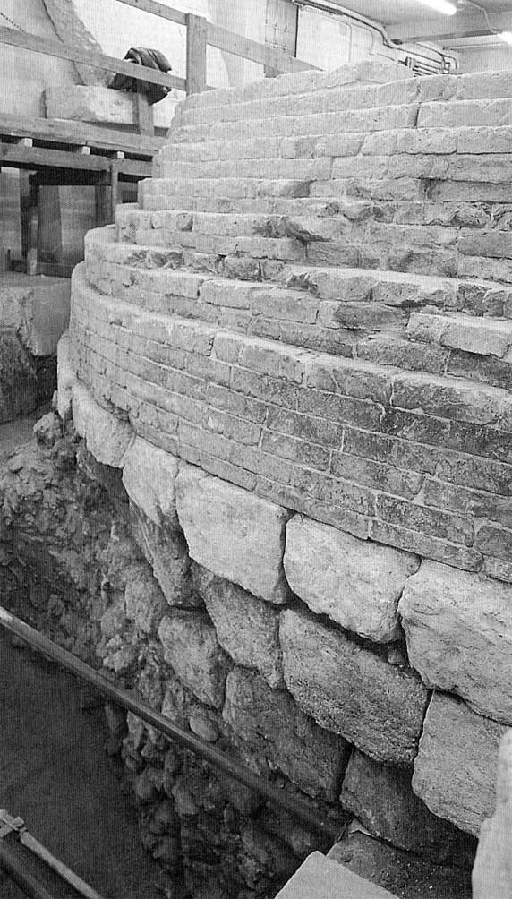 base_della_torre-572