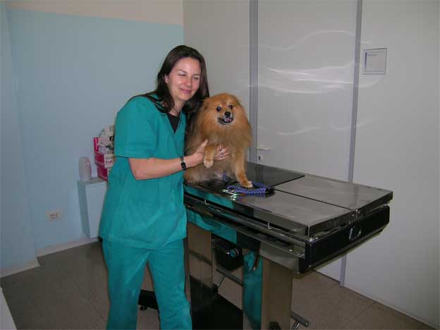 astor-e-la-veterinaria-624