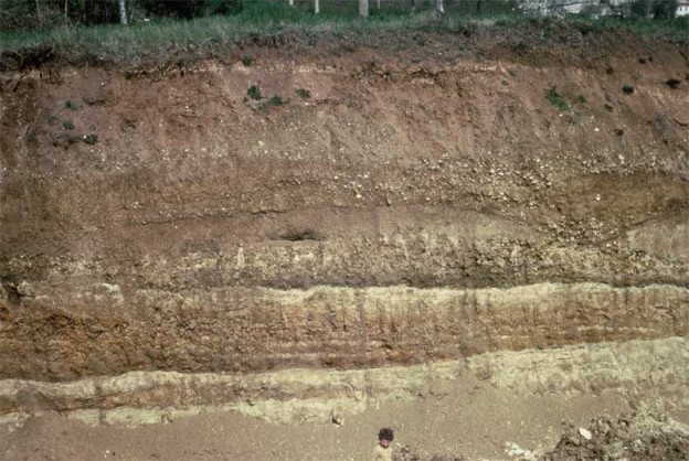 Alberto Solinas: come ho scoperto il sito archeologico di Isernia La pineta