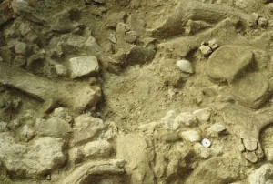 isrnia-buca-di-palo