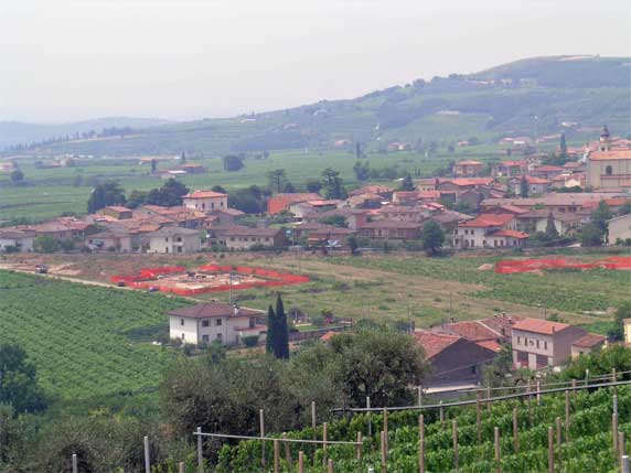 Arano-gli-scavi-572i Arano-gli-scavi-572i