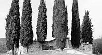cimitero cimitero