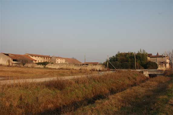 corte-leppia-572 corte-leppia-572