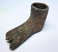 il piedino il piedino