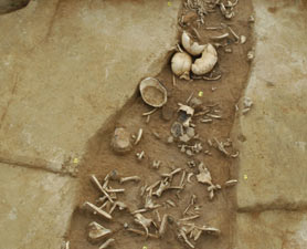 mass-cannibalism-278x225 mass-cannibalism-278x225