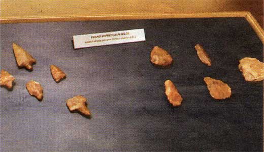 reperti-archelologici-520-