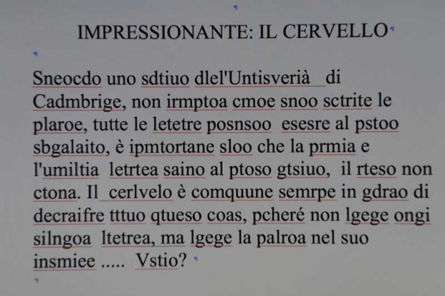 IMPRESSIONANTE IL CERVELLO