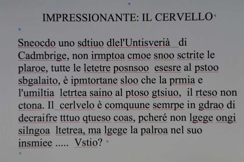 impressionante-il-cervello.800