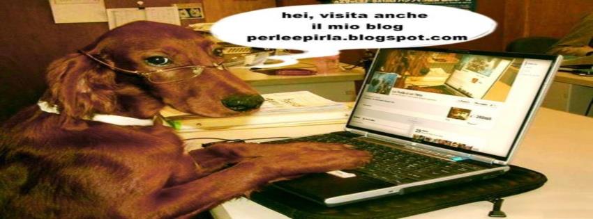le perle di un pirla