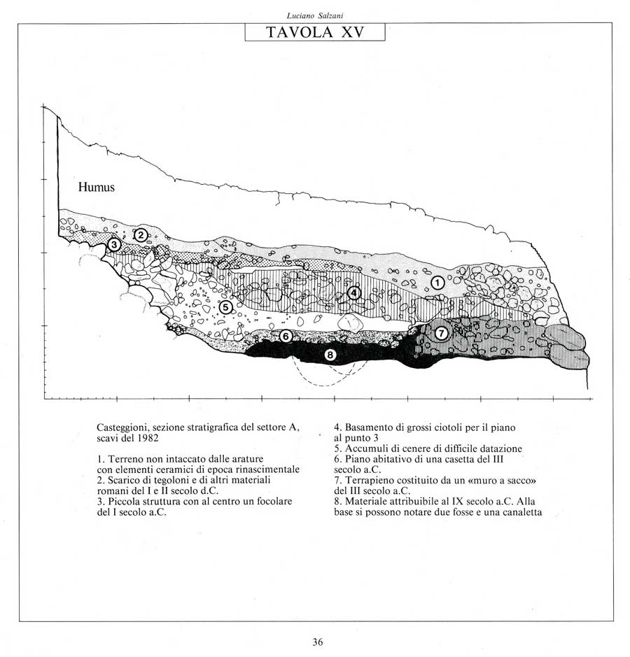 Casteggioni-sezione-stratigrafica-settore-a-scavi-1982.900