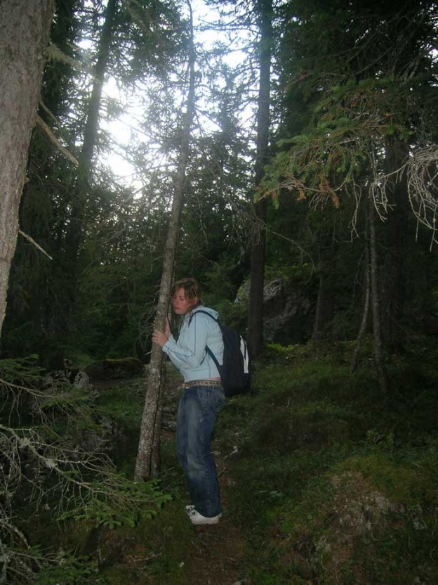 SAPETE CHE GLI ALBERI PARLANO?