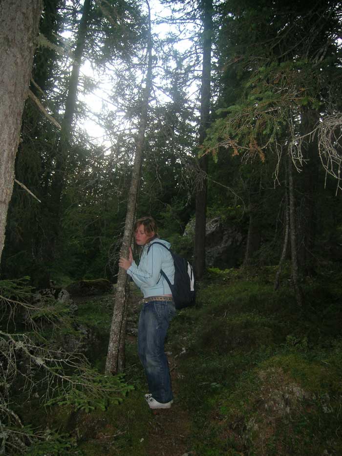alberi-parlano.700