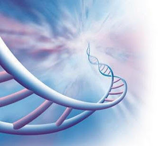 dna