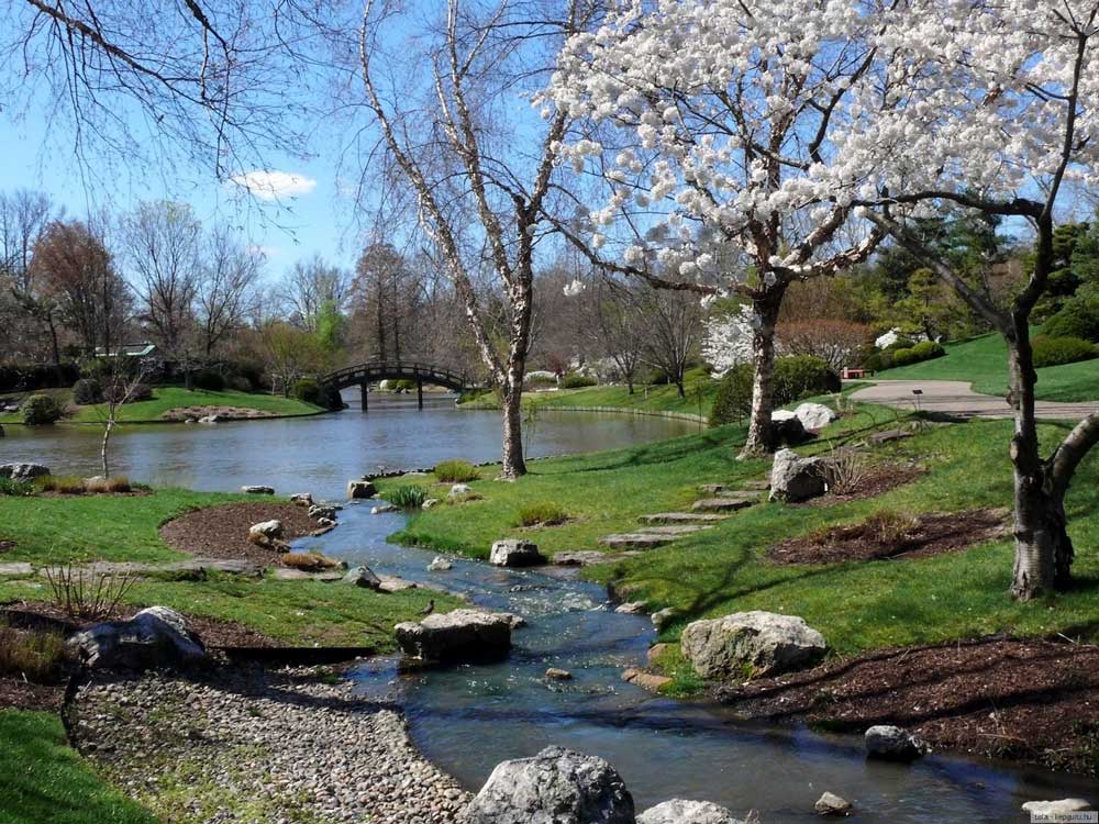 primavera-svetik.1000