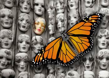 leadmonarch
