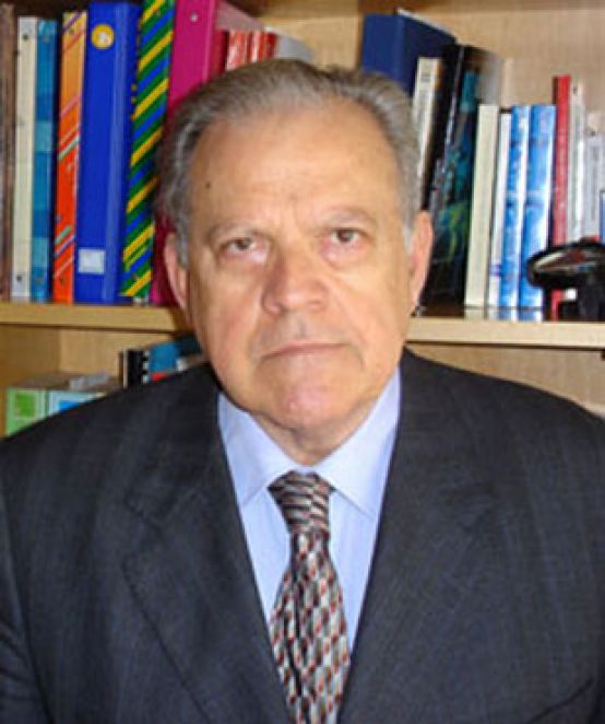 natalino-ronzitti-docente