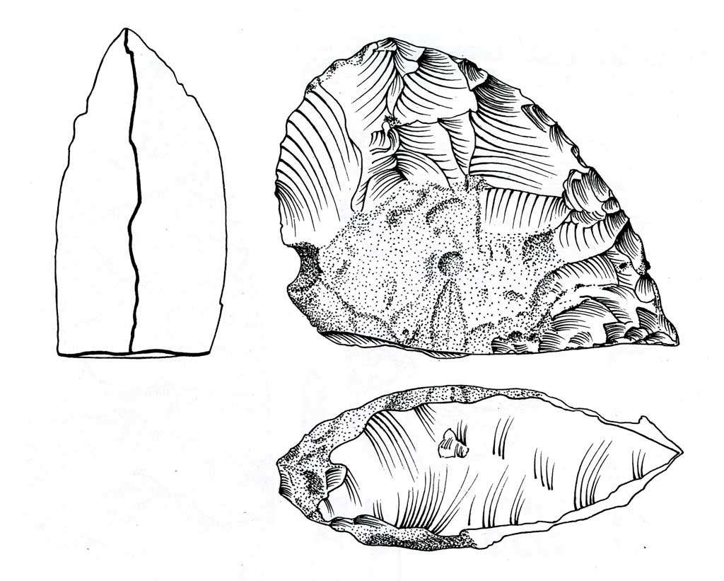 nucleo-tipo-corbiac
