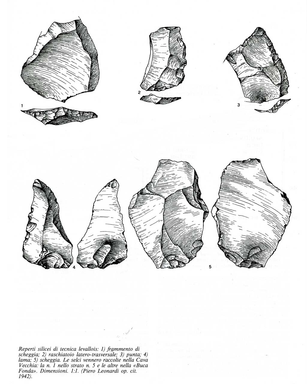 reperti-levallois-cava-vecchia-buca-fonda