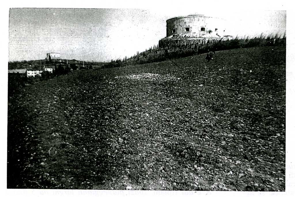 torricella-massimilianea-1