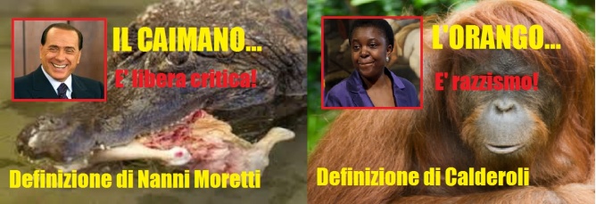 il caimano