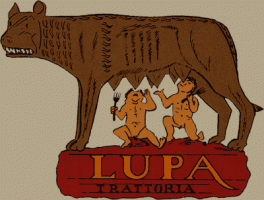 lupa_logo-264x200