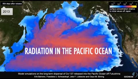 radiation-in-the-pacific-ocean.480