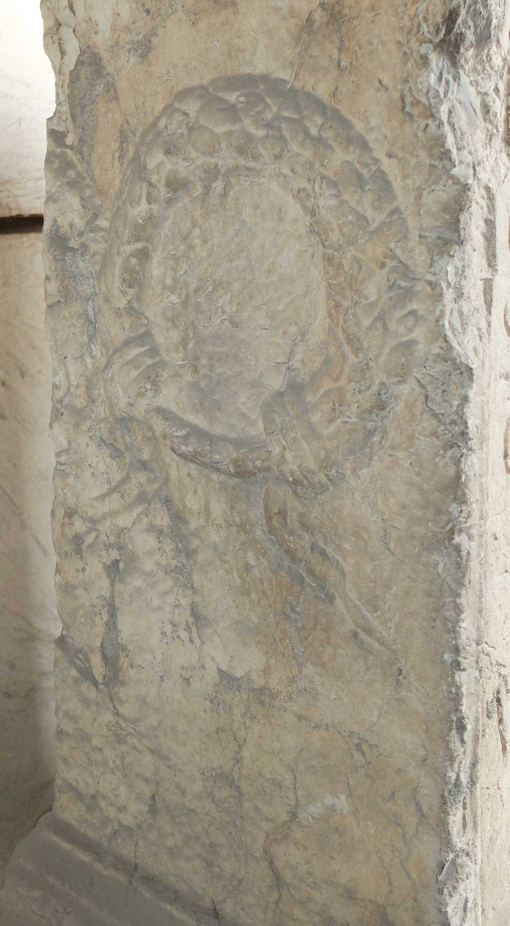 Lapide di L. STATIVS-alloro. 1024