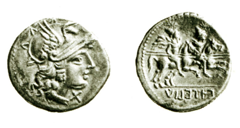 viteliu-denaio -testa-cavalieri