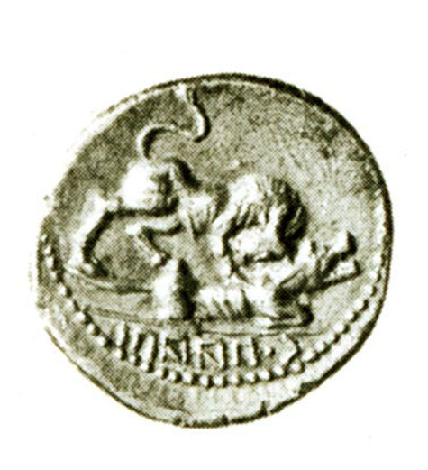 viteliu-toro.lupa132