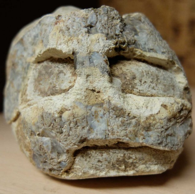 COME RICONOSCERE UN BUGIARDO PATOLOGICO SERIALE