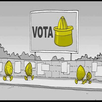 votare-elettore-limone