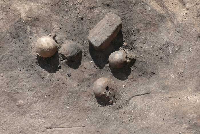 egypt-epidemic-discovery-700