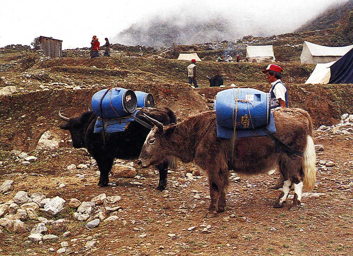 yak.1200