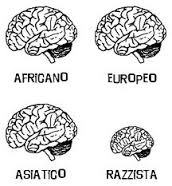 razzismo-cervello