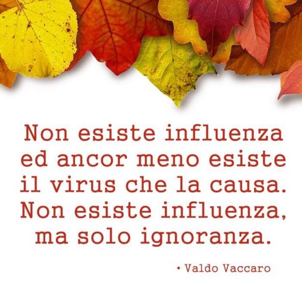 NON ESISTE INFLUENZA MA SOLO IGNORANZA