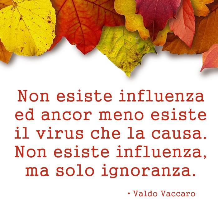 non esiste la influenza