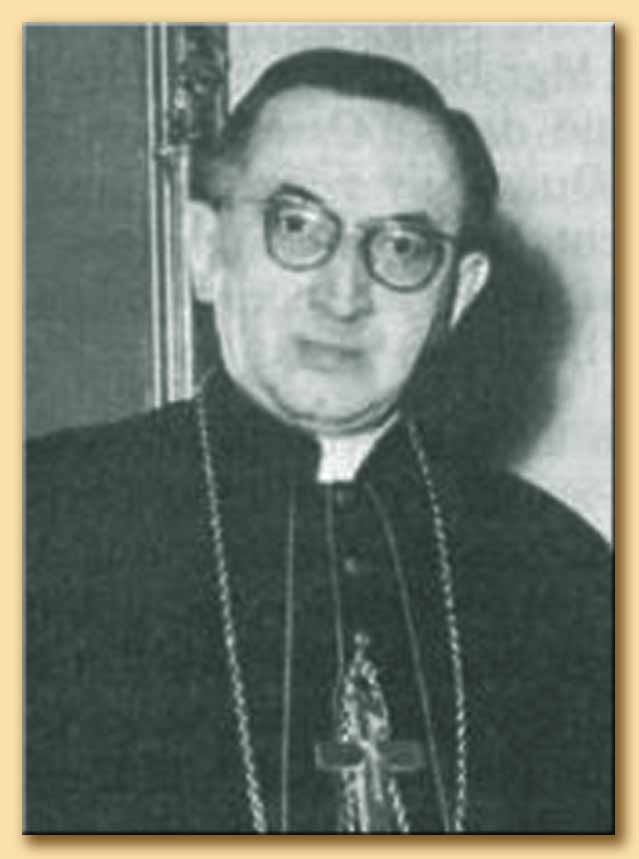 Cardinale Jean Villot