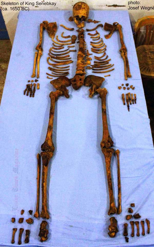 skeleto-of-King-SENEBKAY-araone-scheletro-penn-museum