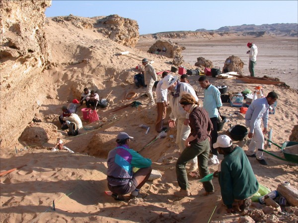 Boston University Wadi Gawasis Project