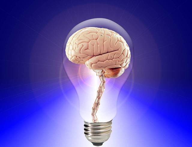 Brain-Public-Domain