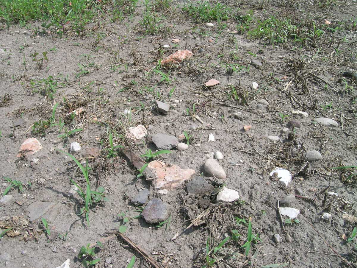 cocci-cimitero-oppeano.1200