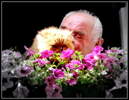 un uomo un gatto