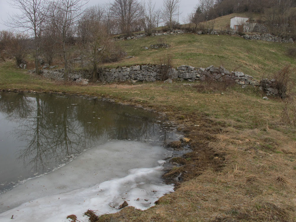 bosco di camposilvano 1000