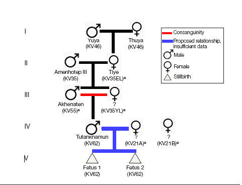 discovery.dna
