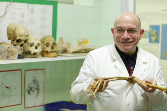gino fornaciari