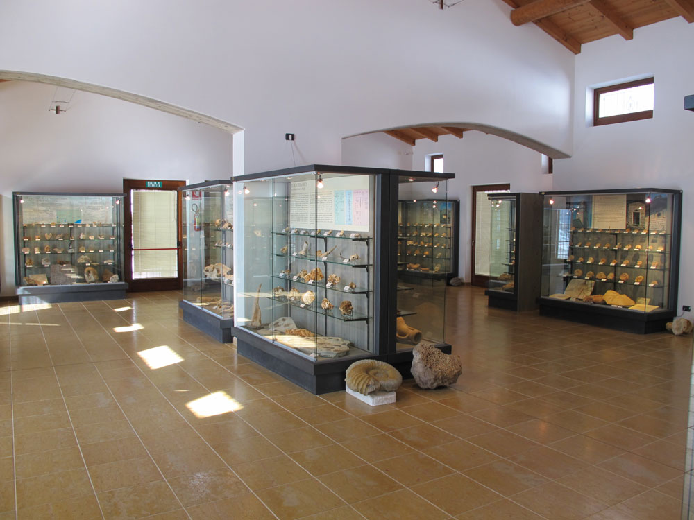 museo-camposilvano.1000