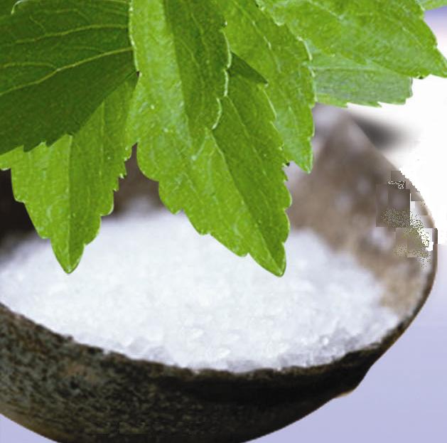 stevia_rebaudiana_extract_no_aftertaste