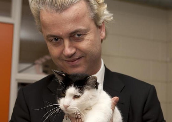 geert-wilders-gatto