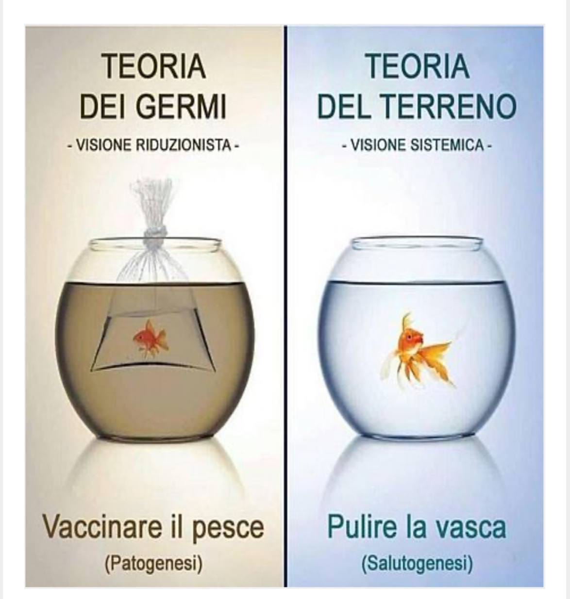 IL TERRENO È TUTTO, IL MICROBO È NULLA