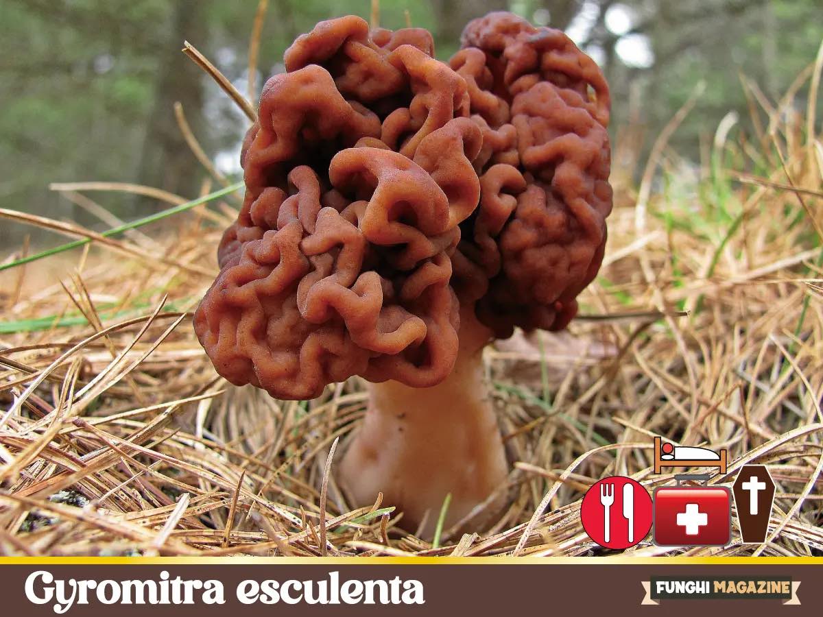 LA “MALEDIZIONE” DI MONTCHAVIN, IL PAESE DOVE 1 ABITANTE SU 12 SI AMMALA DI SLA.